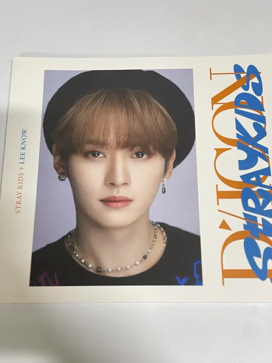 Skz Depesta photobook WTS