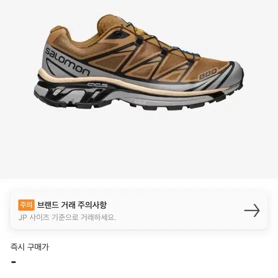 살로몬 salomon xt-6 cathay spice 240