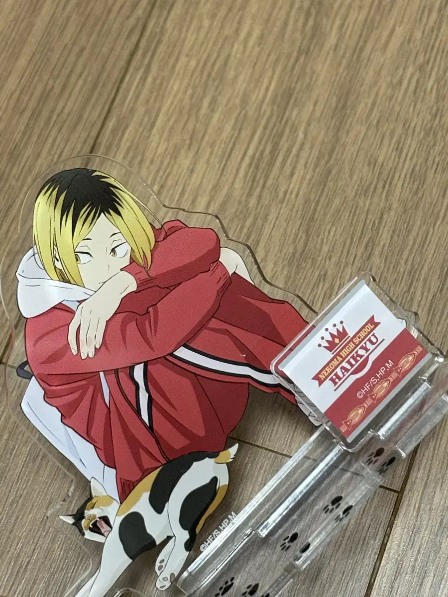 Kenma acrylic is urgent