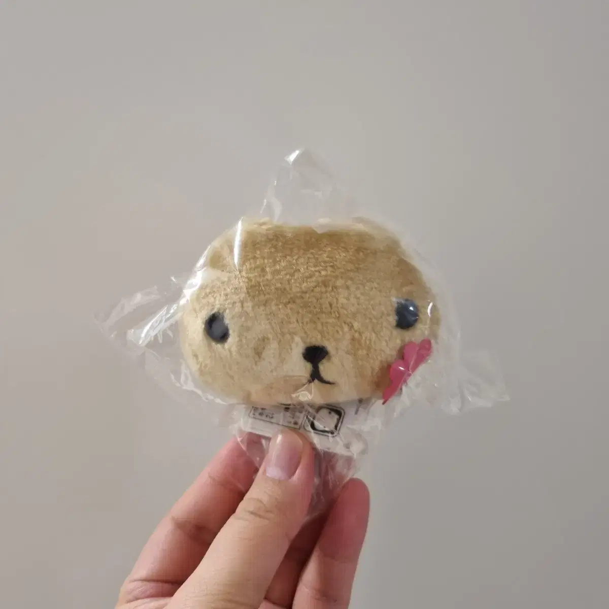 Vintage Classic Capybarasang Mini doll Keyring