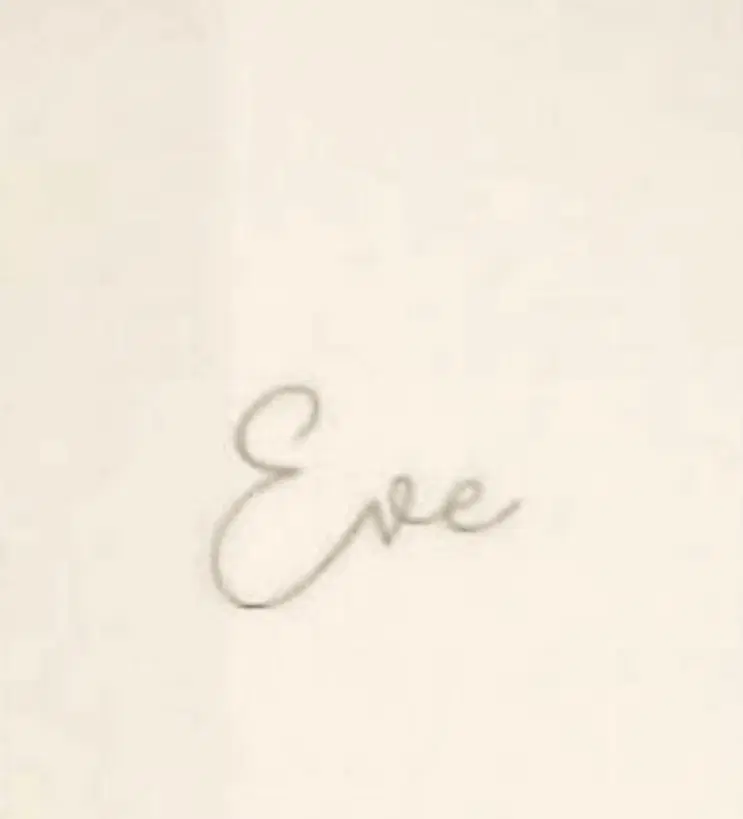 Utaite Singer EVE Rare Album Merchandise Rare