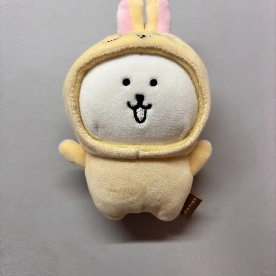 치이카와 우사기 농담곰 탈쓴