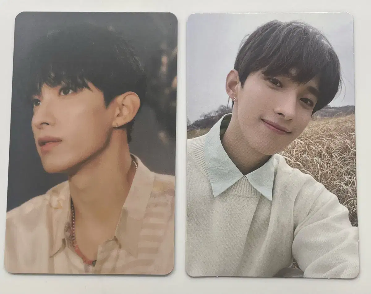 Seventeen Feathersun dk photocard in bulk