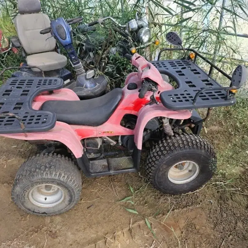 대림 올코트 100cc ATV 사발이 오토바아 전후진기능