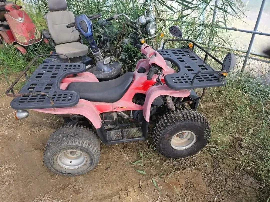 대림 올코트 100cc ATV 사발이 오토바아 전후진기능