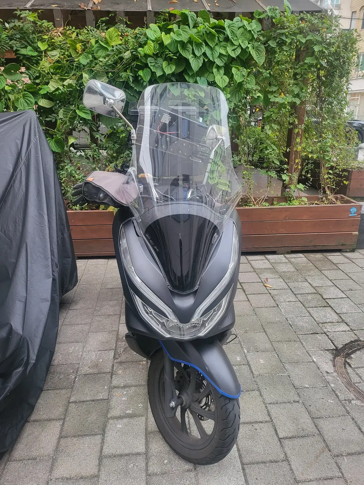 PCX125 19년식 팔아요