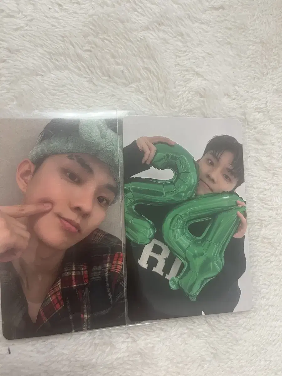 Dewitree the boyz q photocard (bulk)