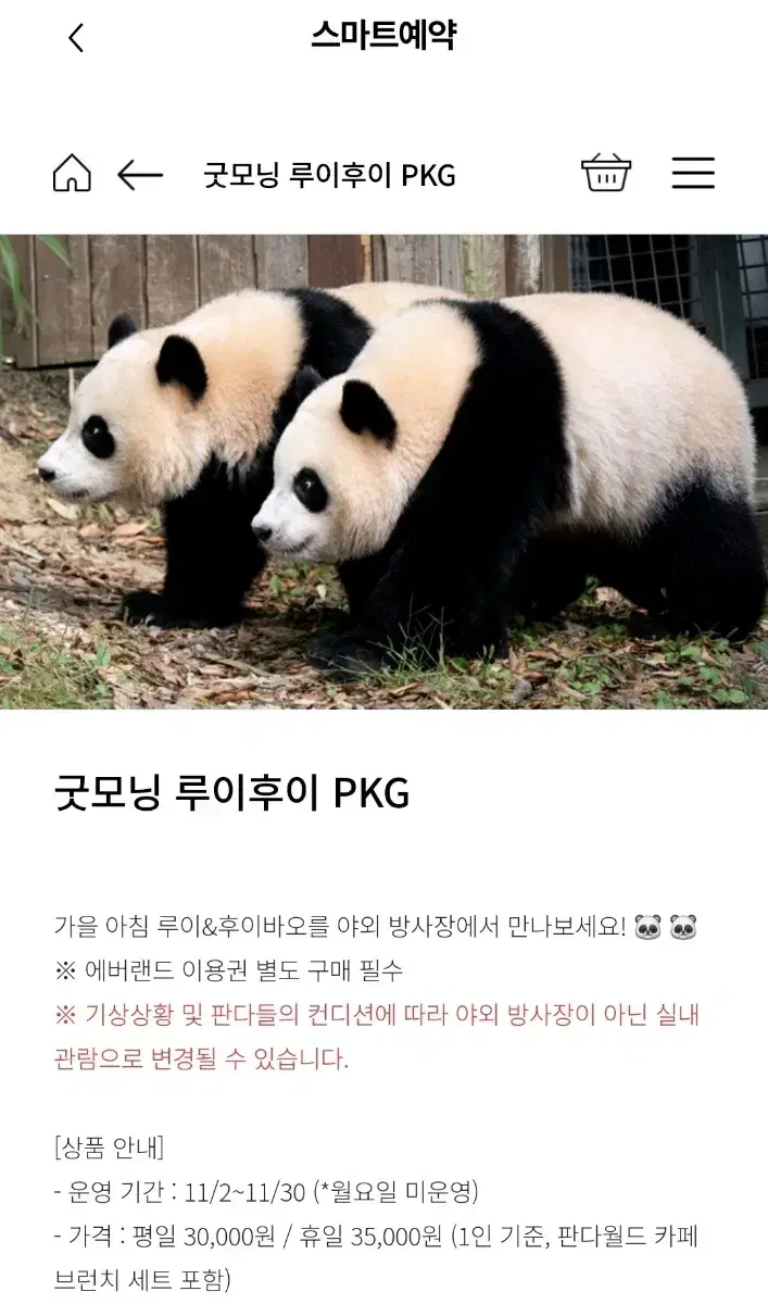 굿모닝루이후이,굿모닝루후양도,푸바오