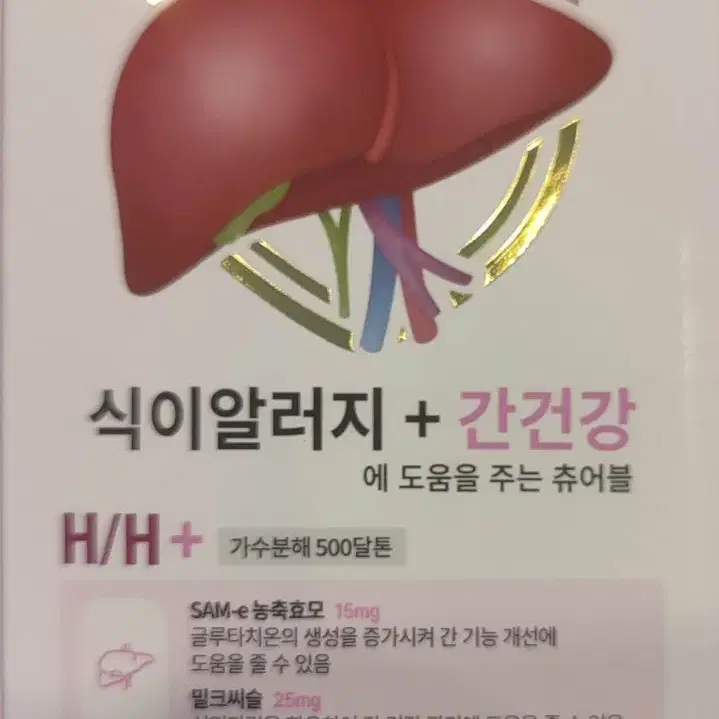 닥터힐 메딕스 간영양제 H/H