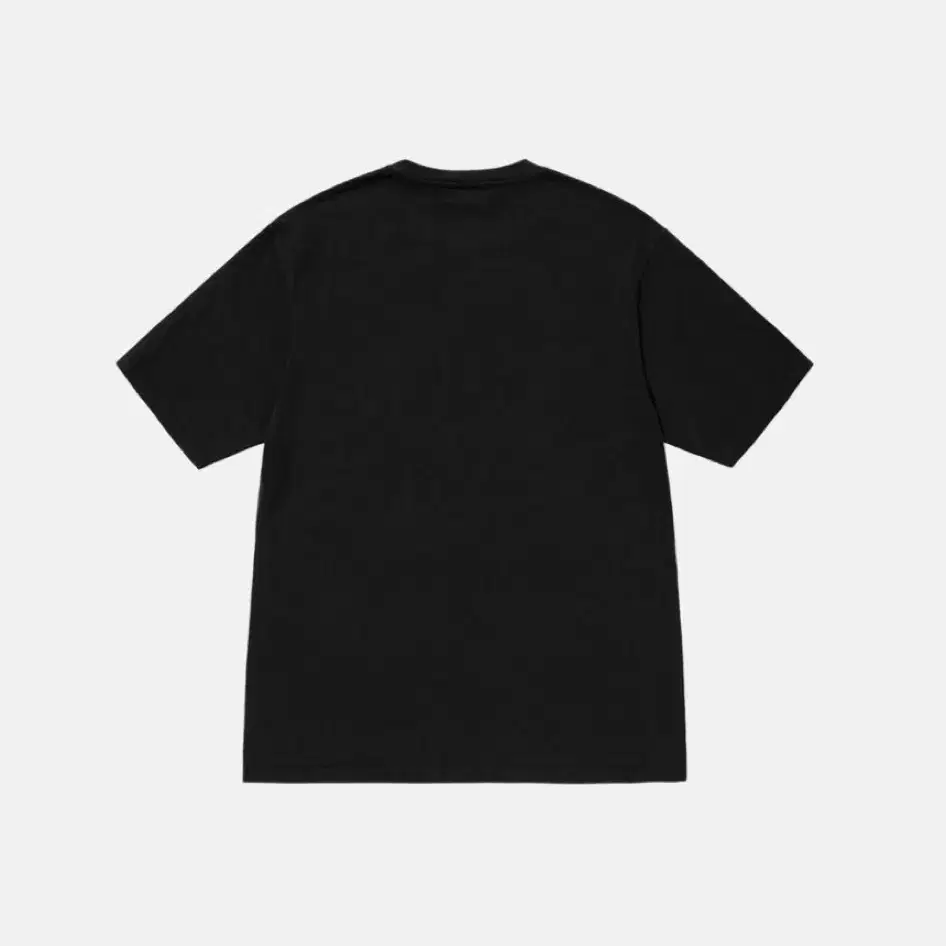 스투시 비치 루트 피그먼트 다이드 티셔츠 블랙 Stussy