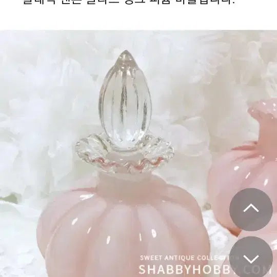 핑크 펜톤 퍼품바틀