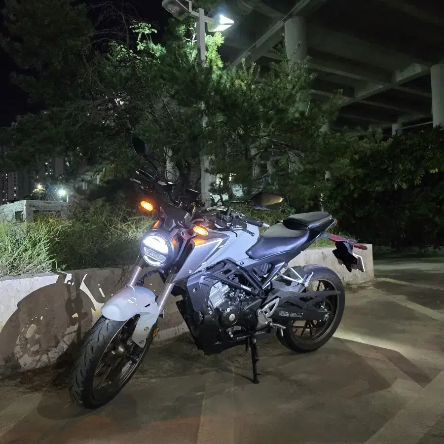 cb125r 22년 구매