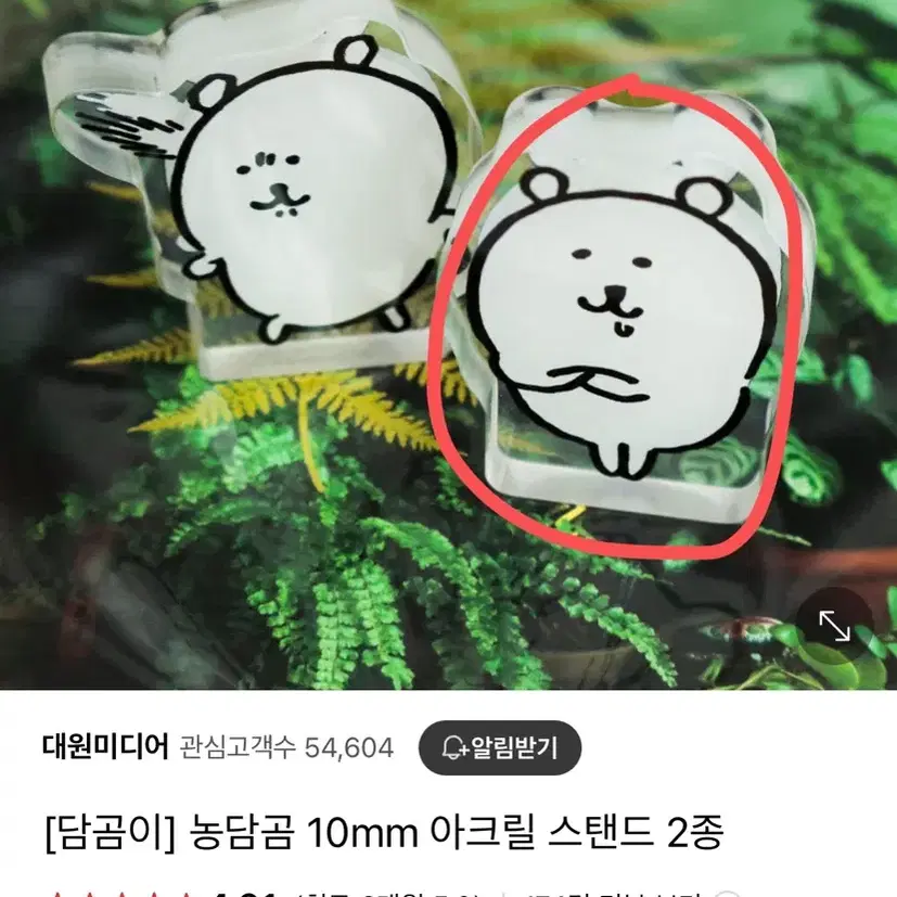 농담곰 아크릴스탠드 (침흘리는 애) 1종