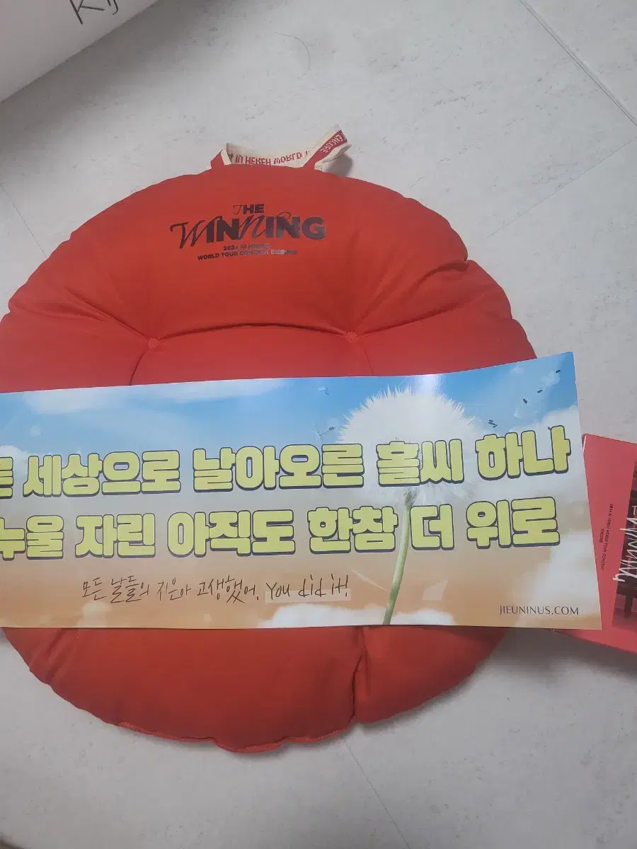 iu cushion telescope slogan