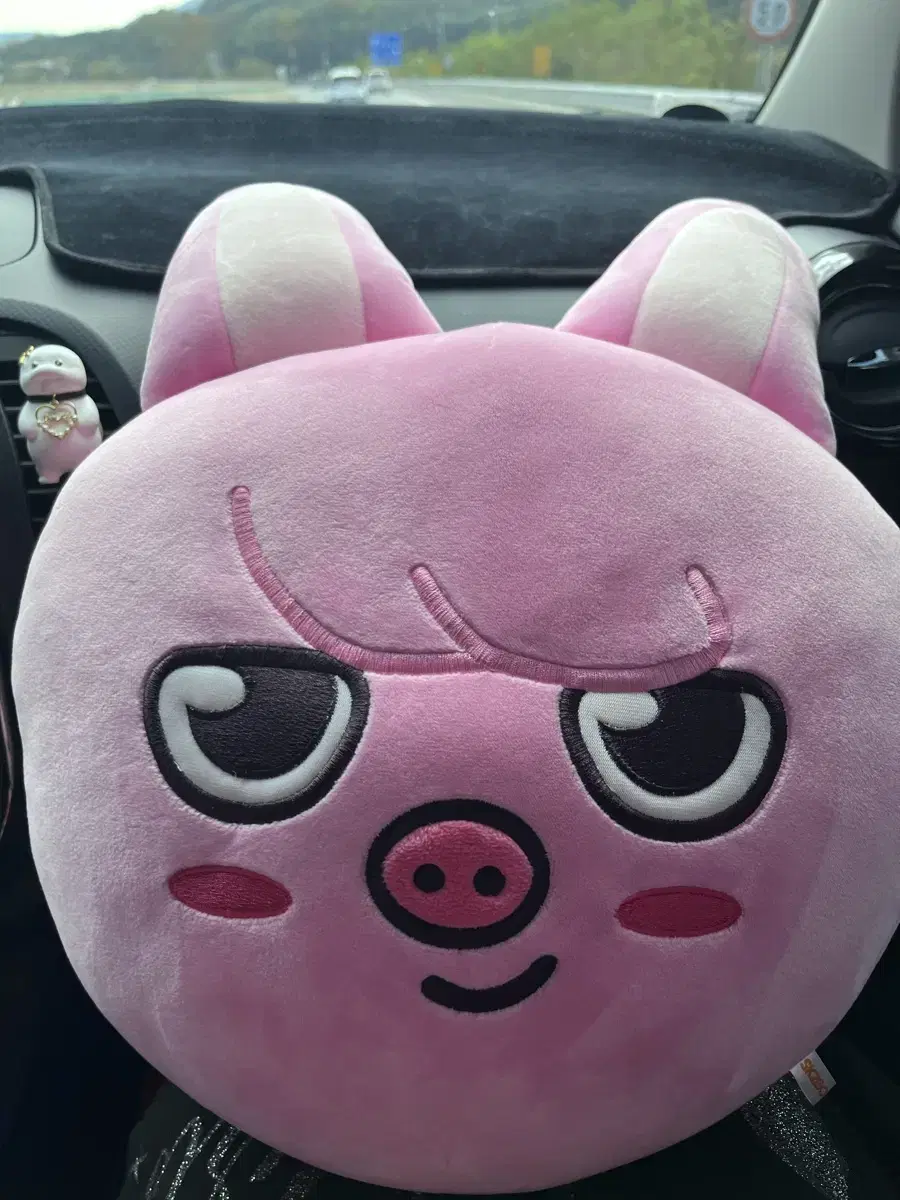 Straykids seo changbin piggy cushion dolls