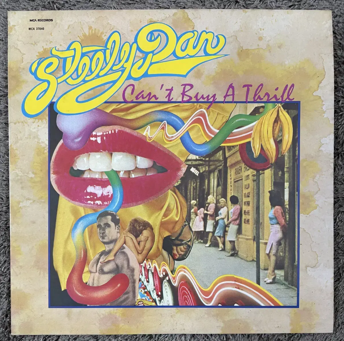 Steely Dan / Can't Buy A Thrill LP