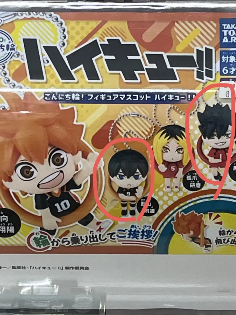 Haikyuu Konnichi and Gacha Figures (Kageyama, Kuroo) sealed in bulk