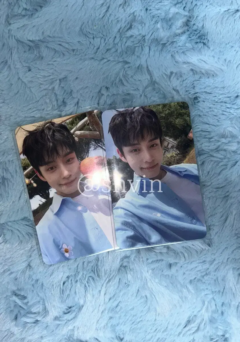 Zeros 2nd kim jiwoong wts photo kards