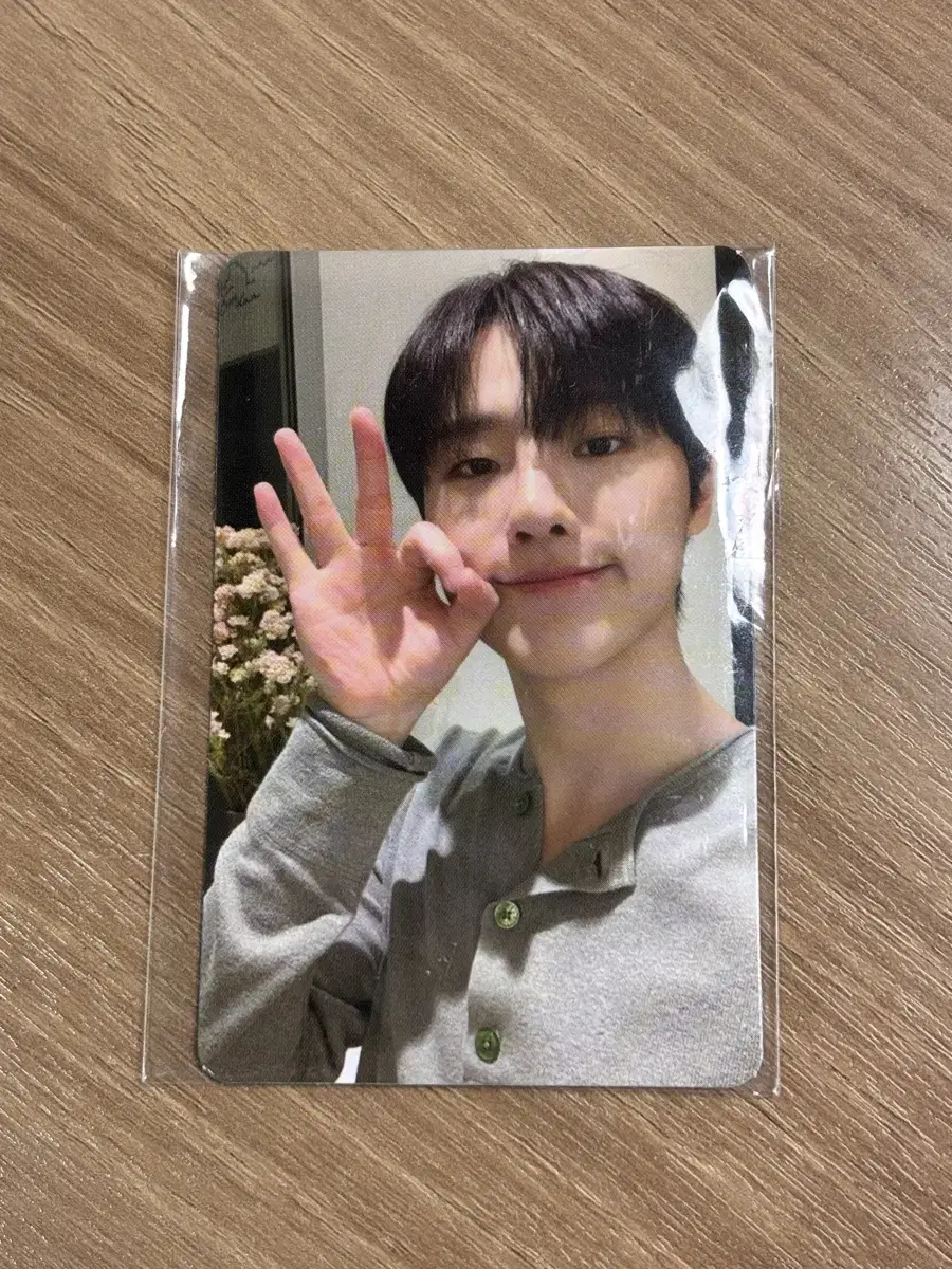 Woodz cho seungyoun us photocard wts