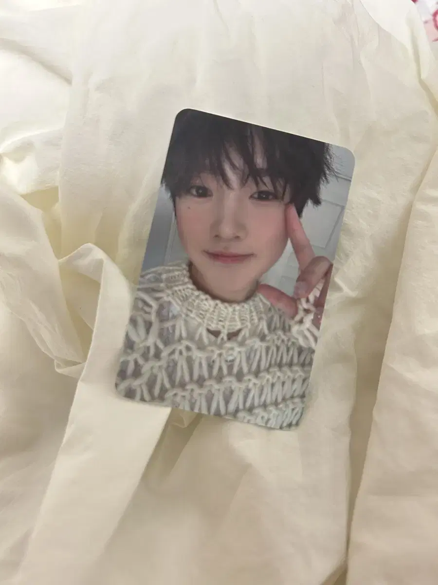 NCT Wish with muu Sakuya Photocard