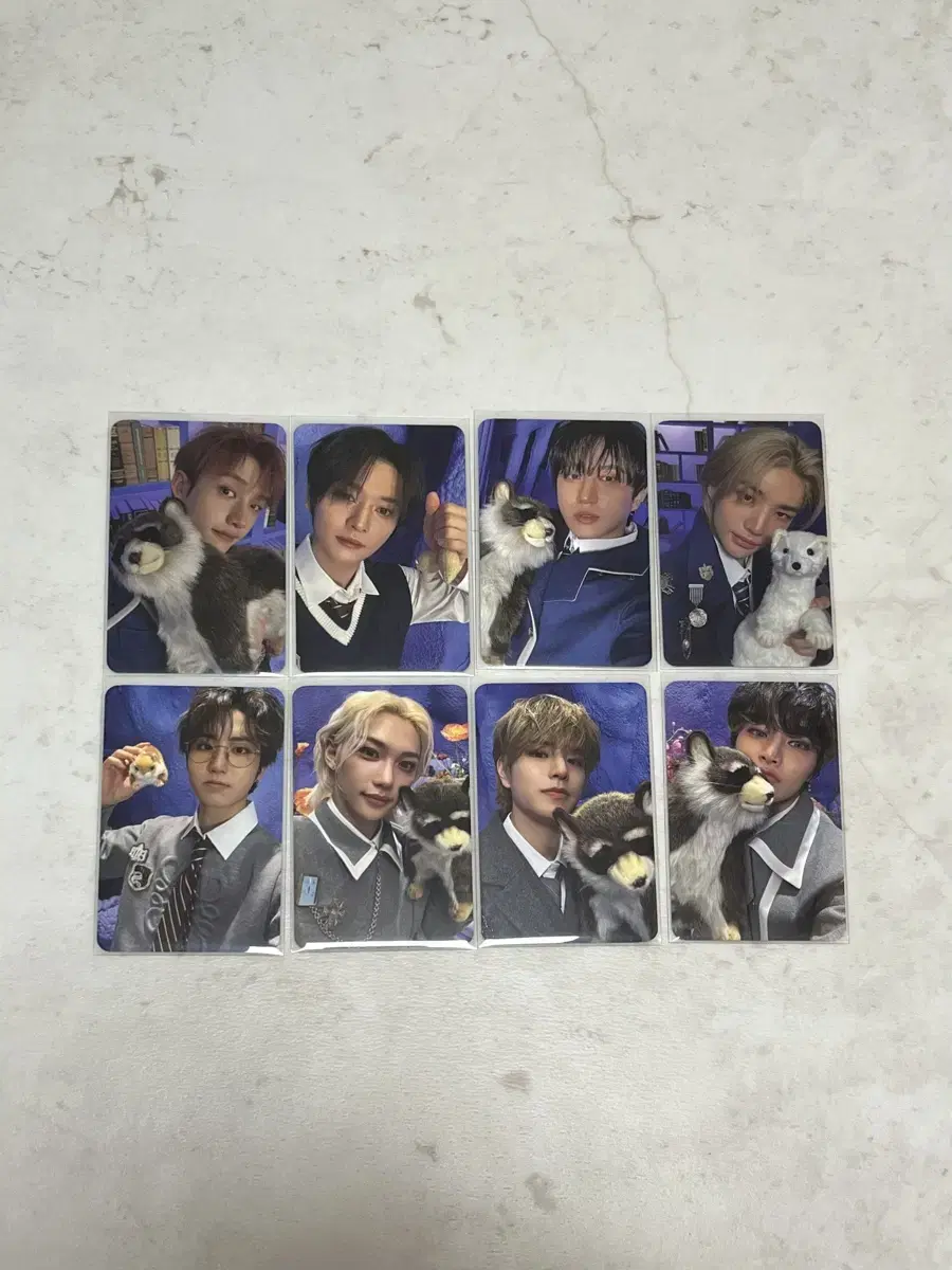 Source)Skz Magic School fanmeeting Makkon Stay Zone photocard Sell in bulk