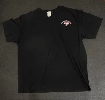 anvil 2010outerBanksMotorcycleRally Tee