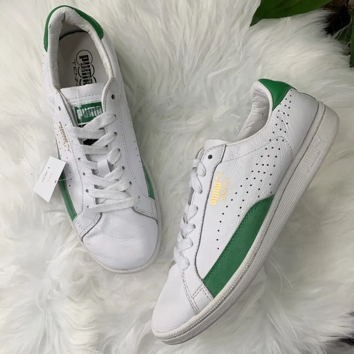 PUMA MATCH 74 white