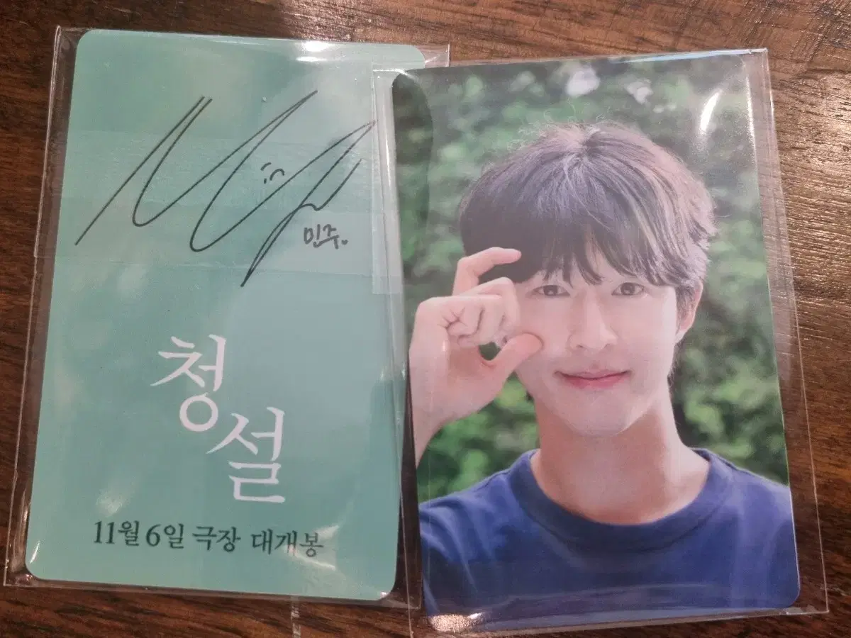 Blue Snow Photo Card Set