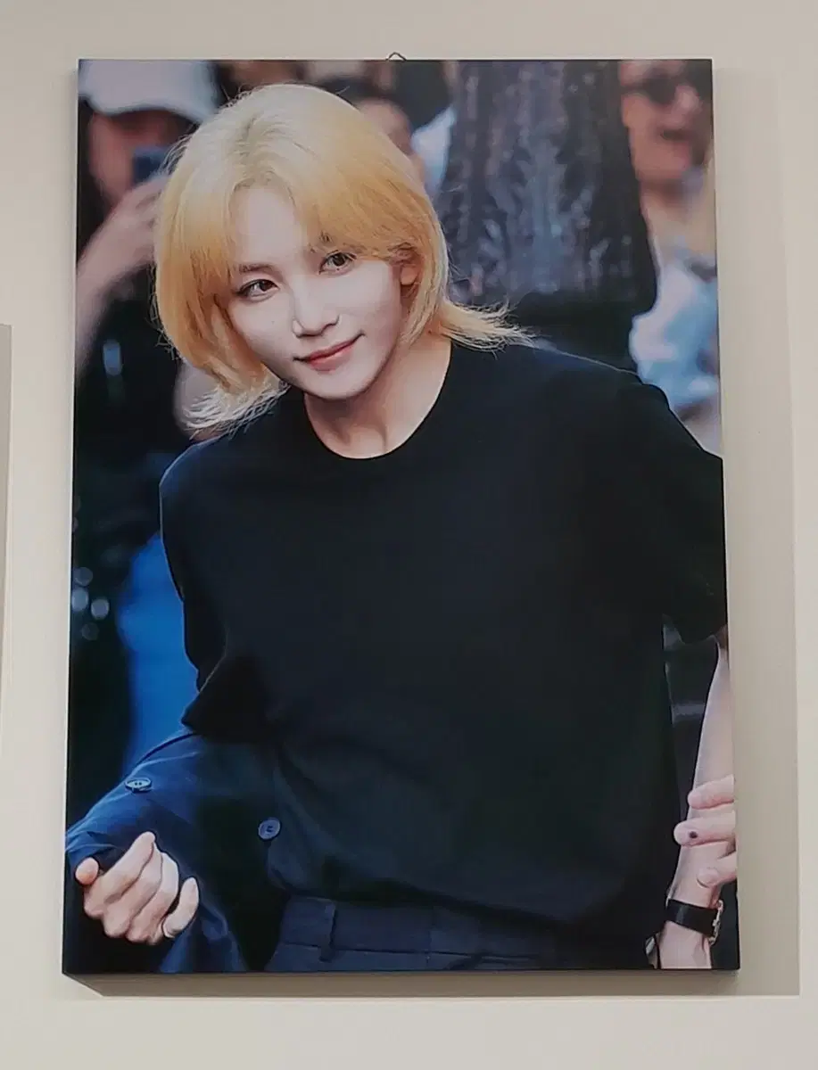 Seventeen jeonghan sells A2 picture frames