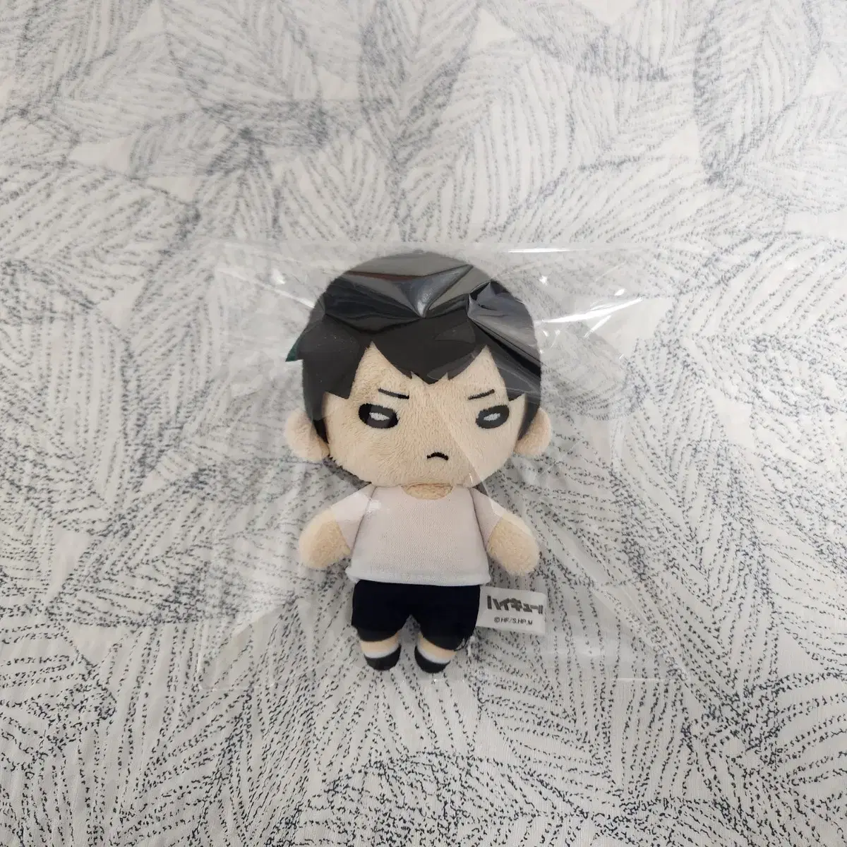 Haikyuu Kageyama Youth Training Camp Nitotan