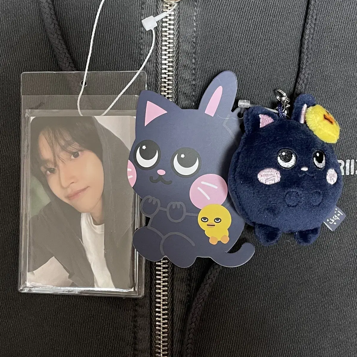 Rize wonbin Tonantuck Minidoll keyring & wonbin Zip-up Hoodie Photocard