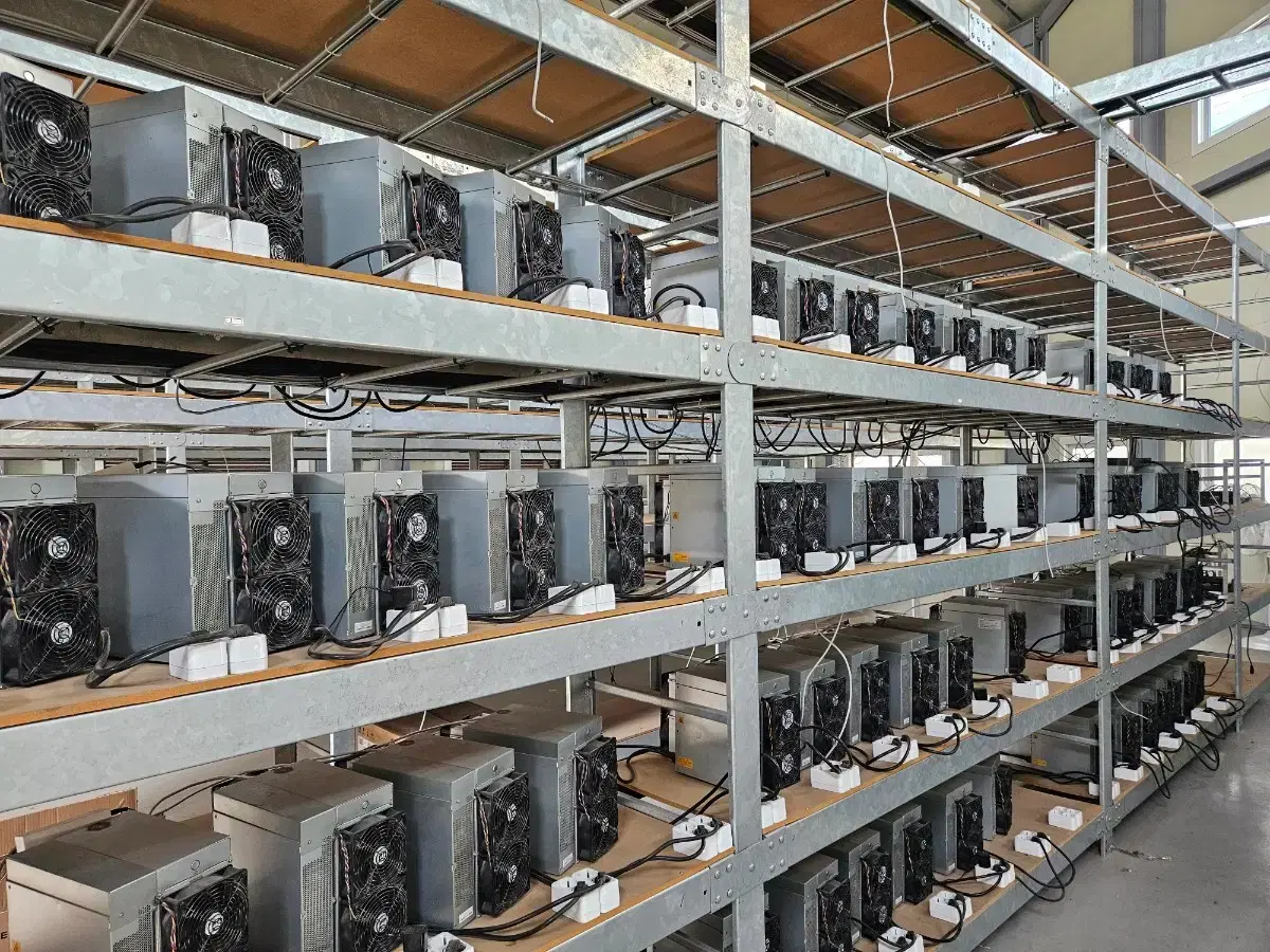 도지코인 채굴기 L7, L9 최저가 판매(부산 김해 채굴장) | 브랜드 중고거래 플랫폼, 번개장터