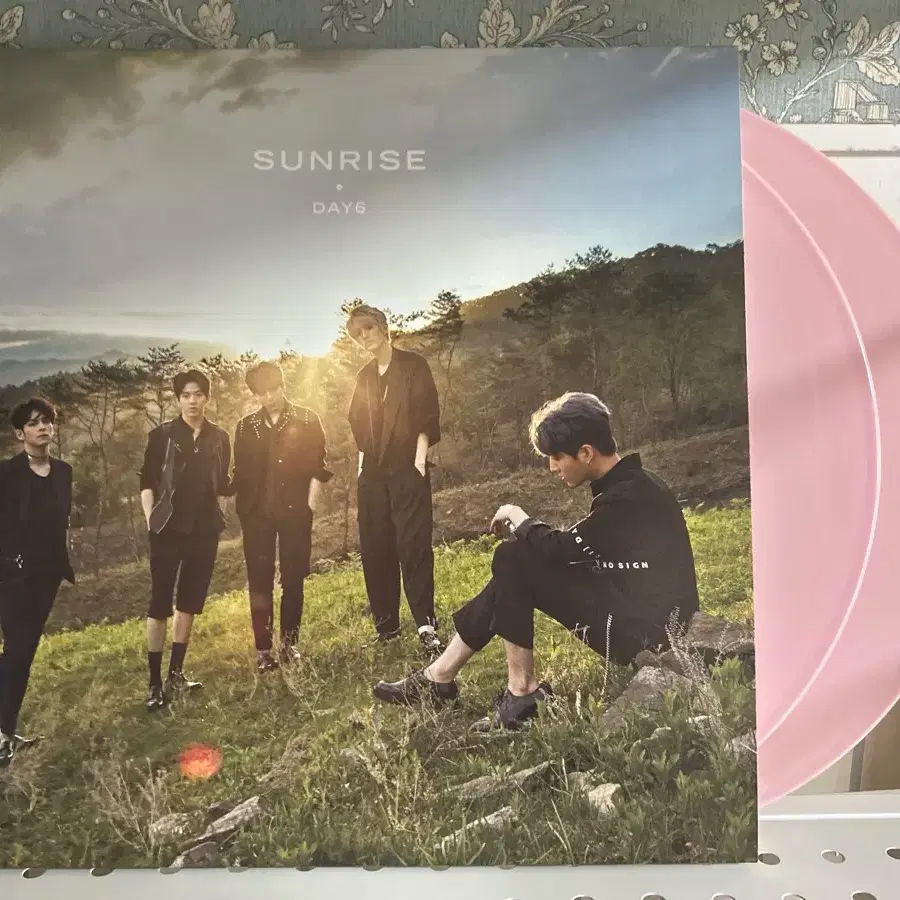 데이식스 lp sunrise 연핑크