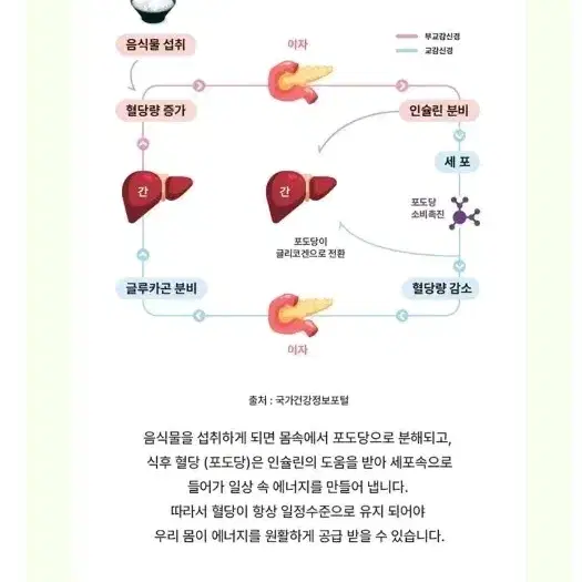 하루 두알 더블컷 다이어트 카테킨&바나나잎