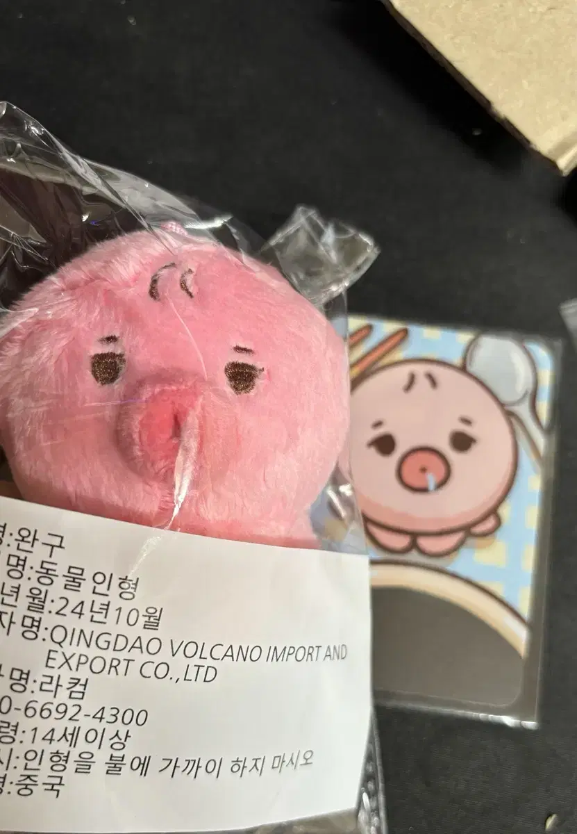 sell the boyz sunwoo doll 