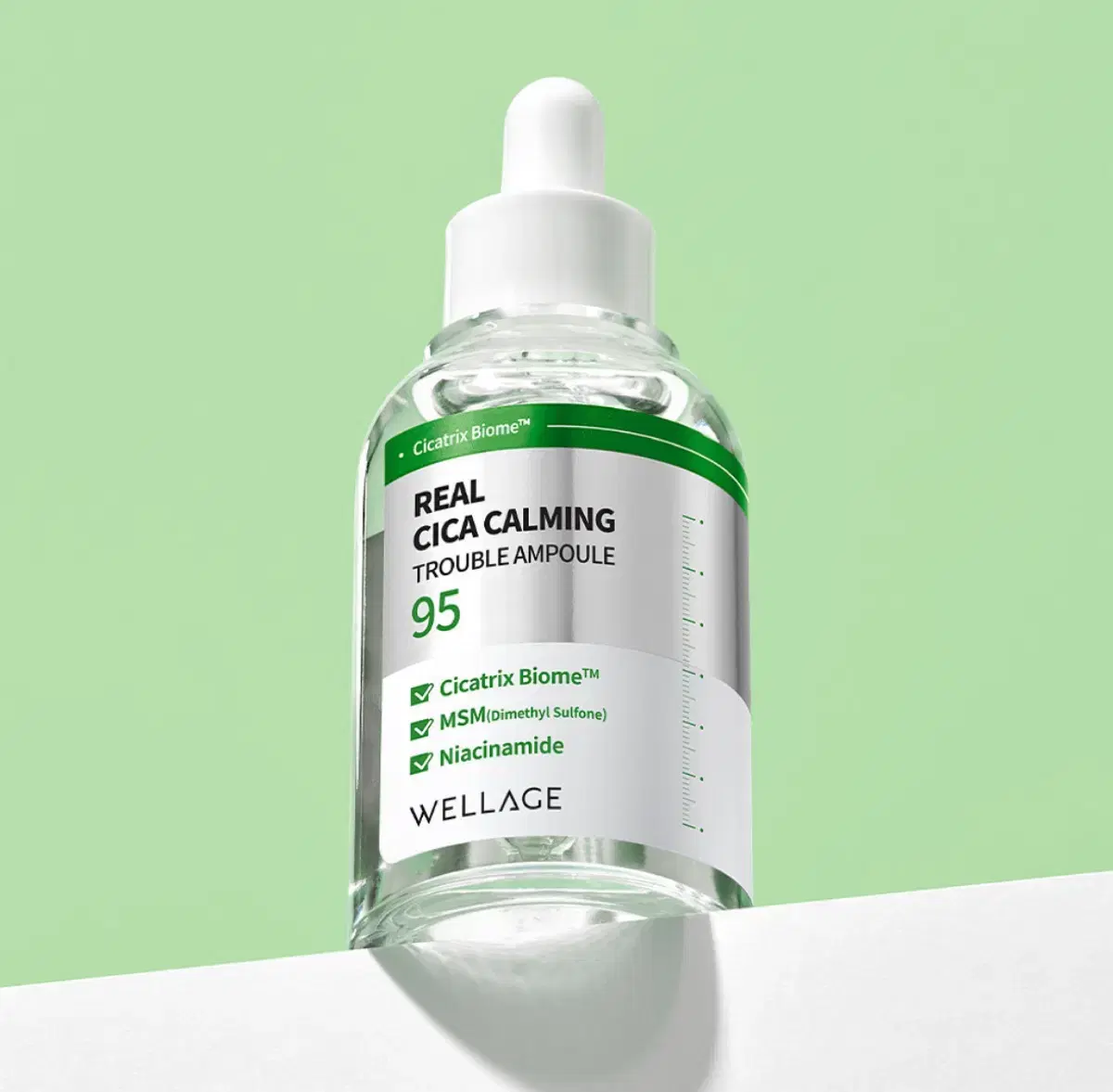 (NEW)Wellage Real Cica Charming 95 Trouble Ampoule 50ml