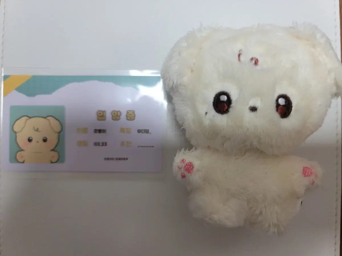 ATEEZ ATEEZ yunho anpan doll