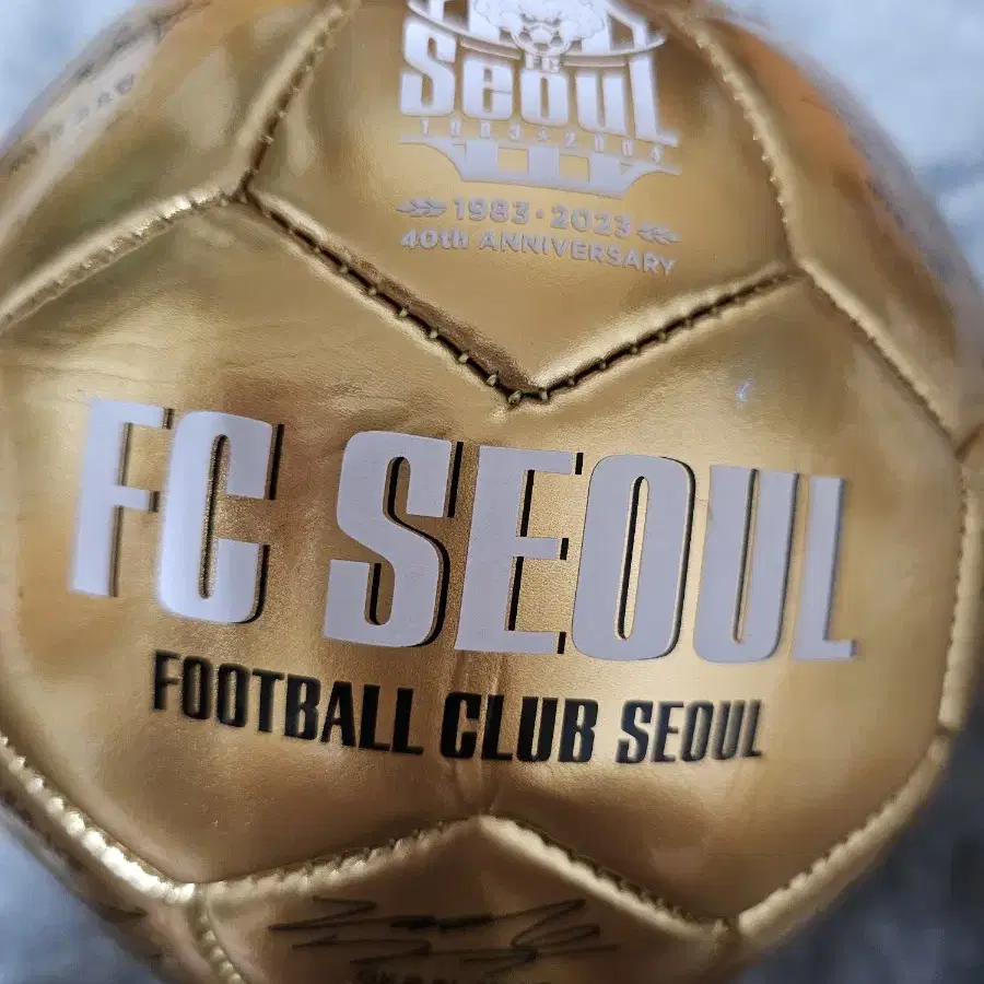 FC서울 23시즌 공