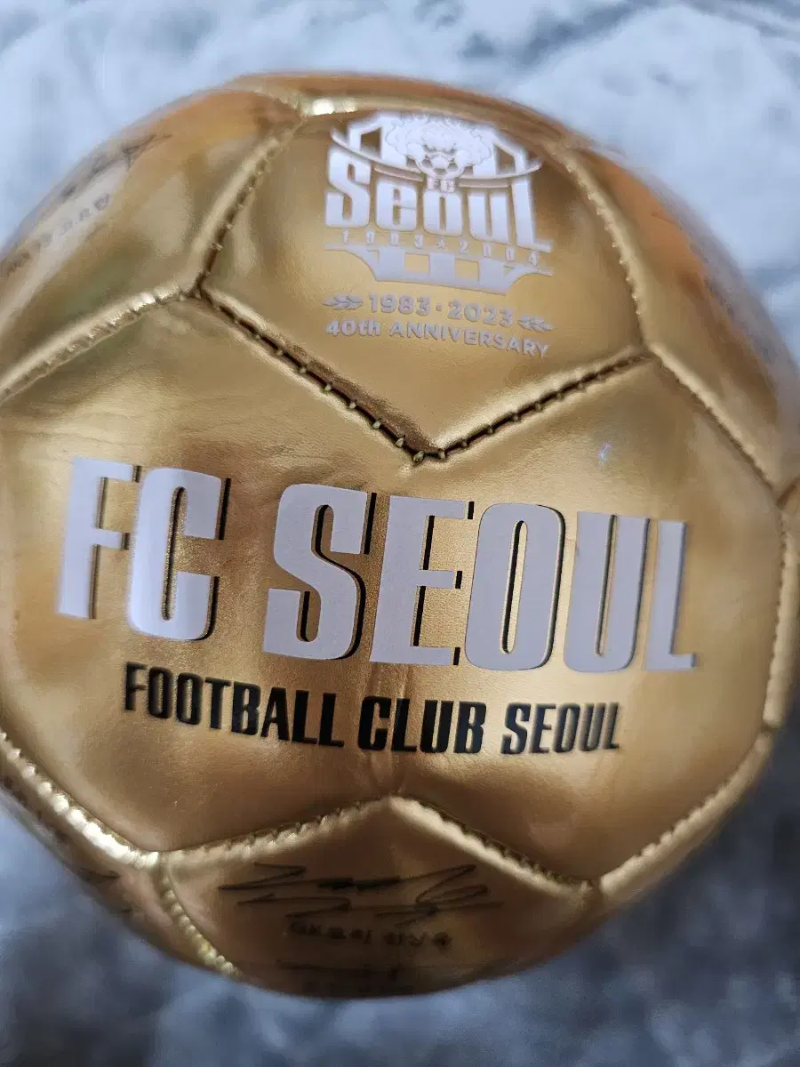 FC서울 23시즌 공