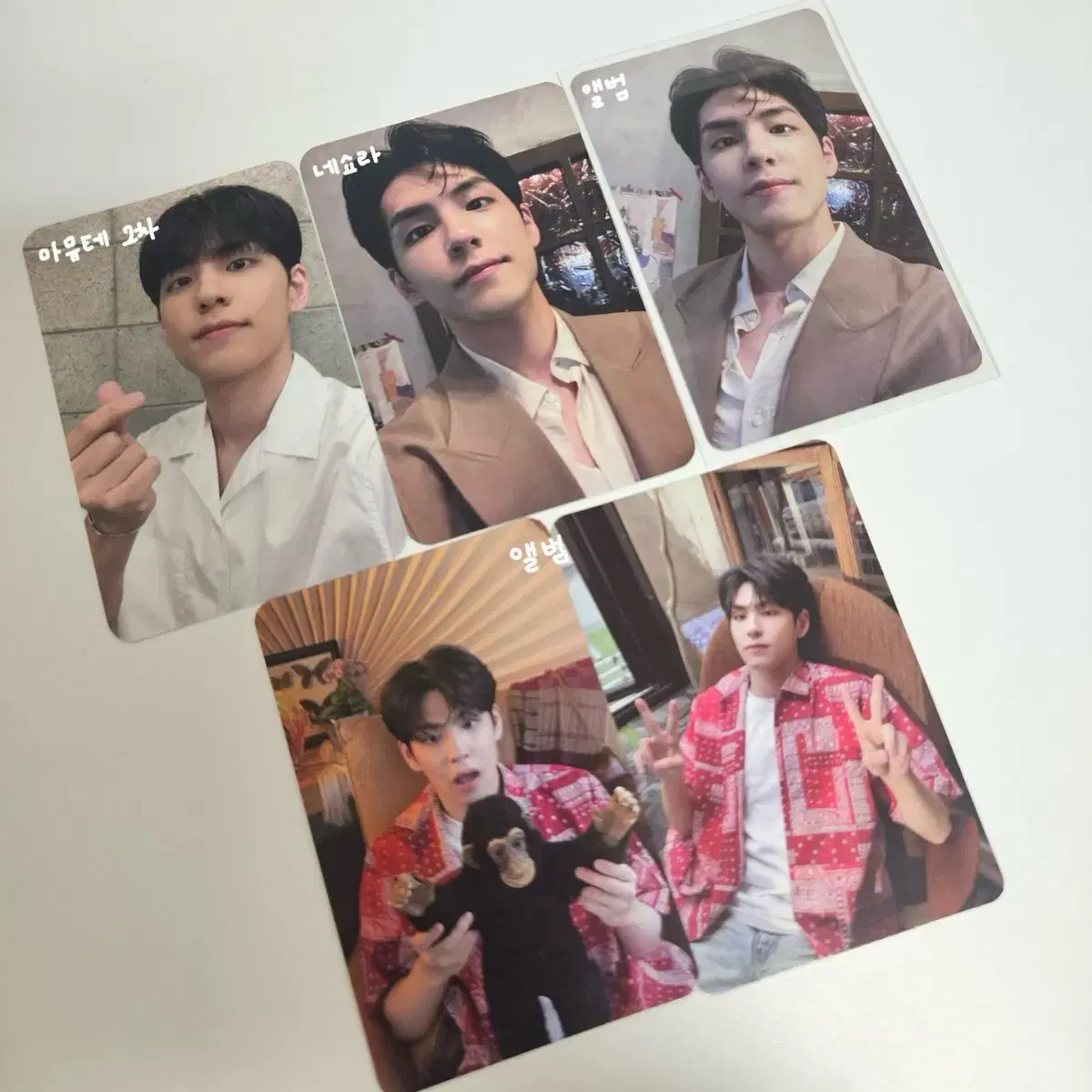 Day 6 impenetrable unreleased photocard albumphotocard bulk pricing