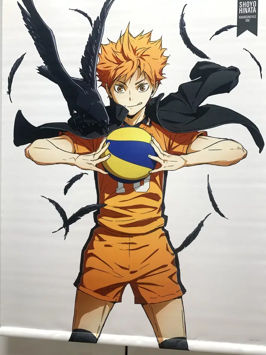 haikyuu hinata 코스파 족자봉 국내매물x 태피스트리 포장지o