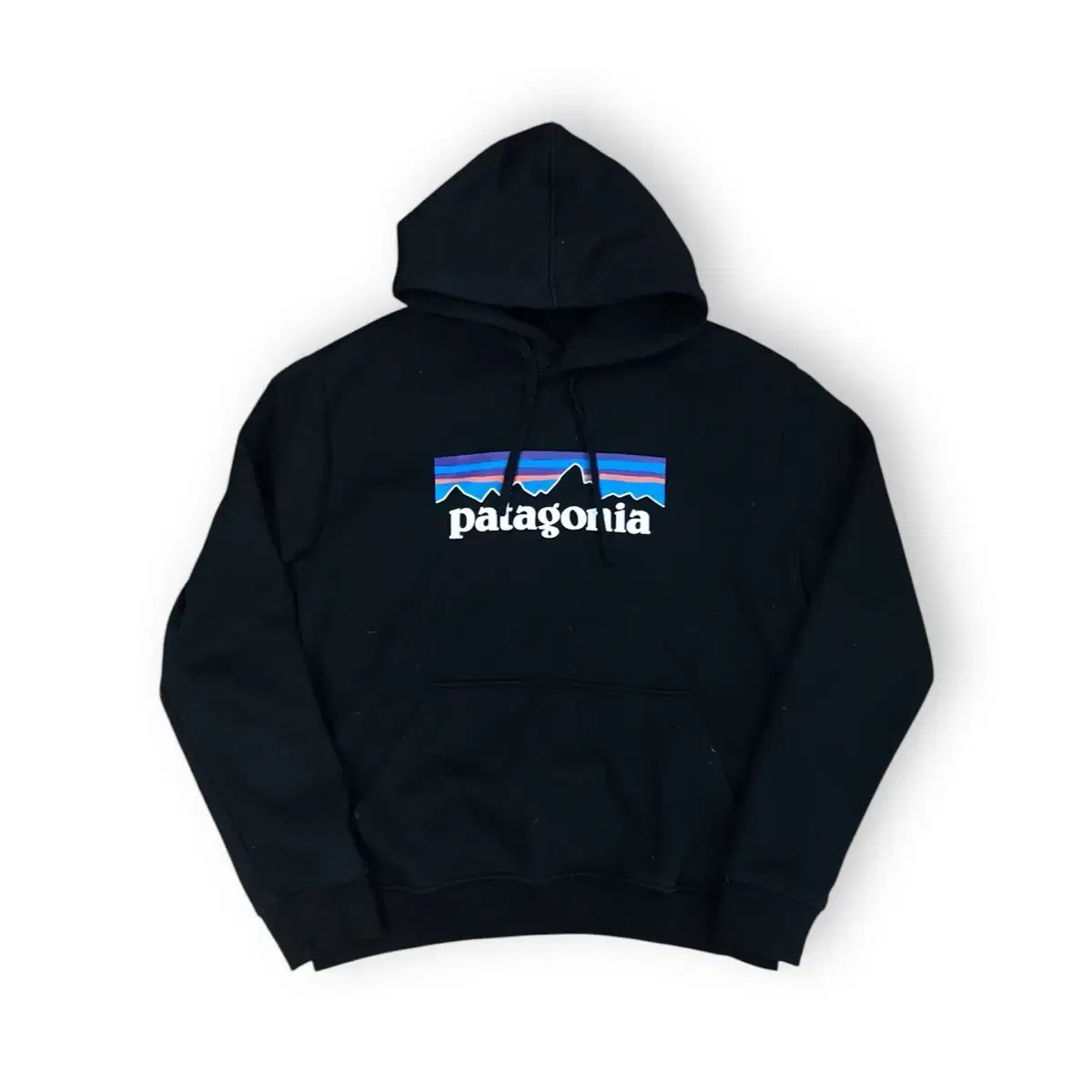 Patagonia Hoodie