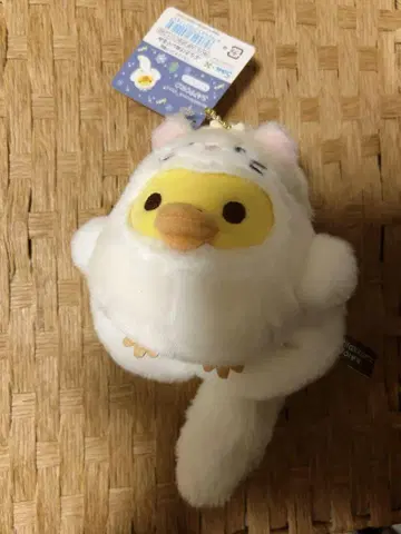 키로이토리 모몽가 마카롱 쿠션 봉제 인형 홋카이도 한정판