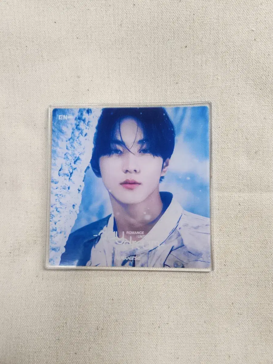 Enhypen portrait acrylic coaster garden -> sunwoo