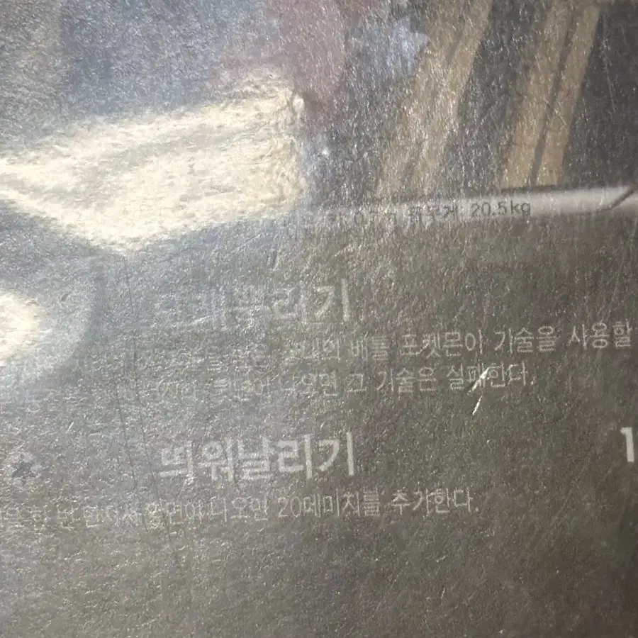 포켓몬스터 딥상어동 포켓몬 카드 인테리어 소품 2 꾸미기용 포장용