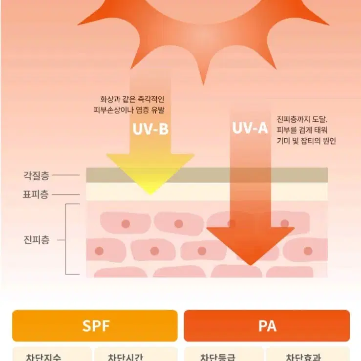 모이스처라이저 선크림