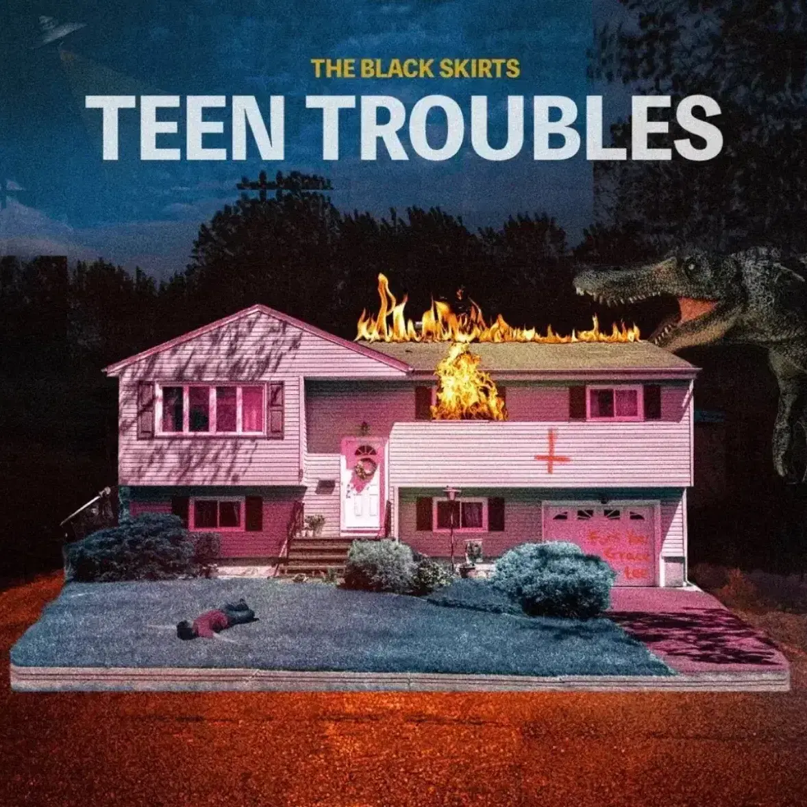 검정치마 teen troubles LP 미개봉