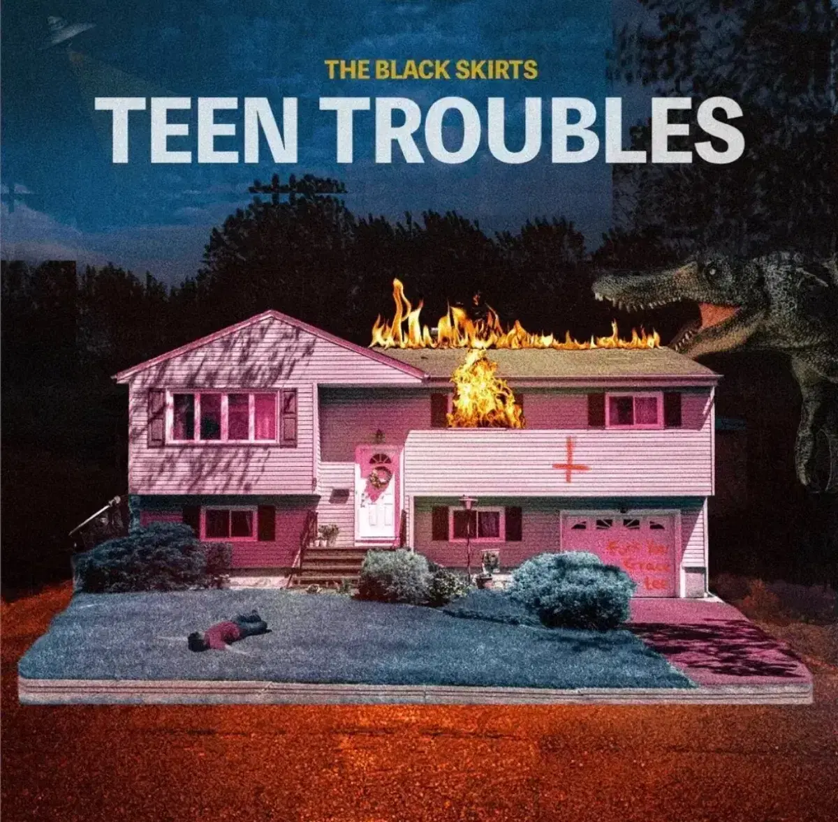 검정치마 teen troubles LP 미개봉