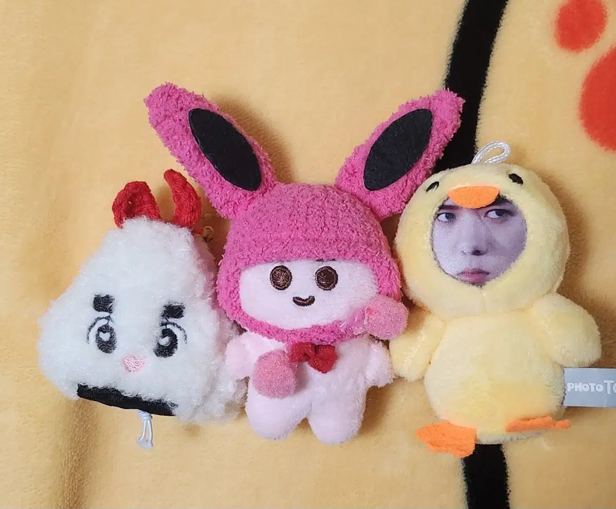 3 exos doll transferred to bulk 