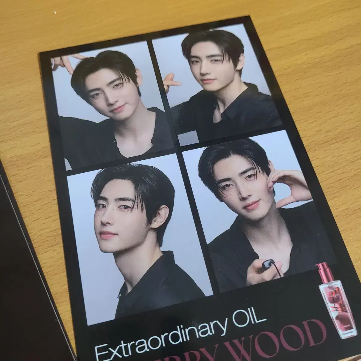 L'Oréal sunghoon Photocart 4 cut photo Photism Enhypen